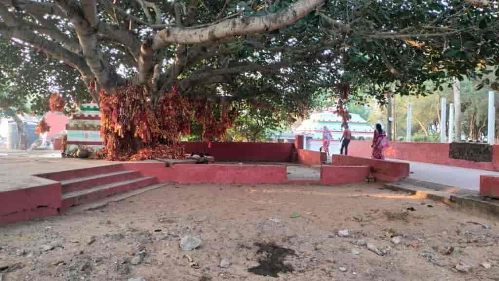 Maa Ramachandi Temple Batabrukhya
