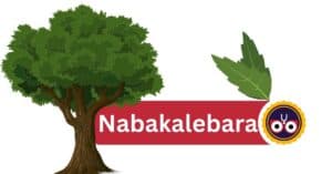 Nabakalebara Festival #1 Extraordinary Festival